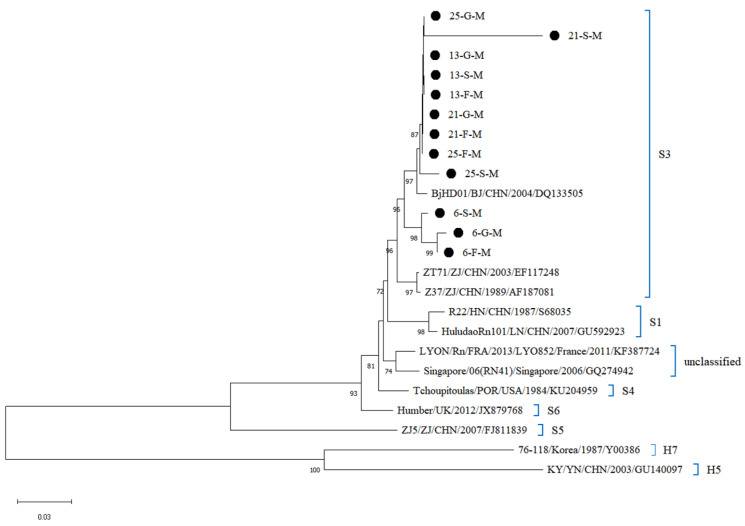 Figure 5