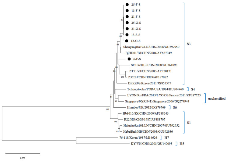 Figure 6