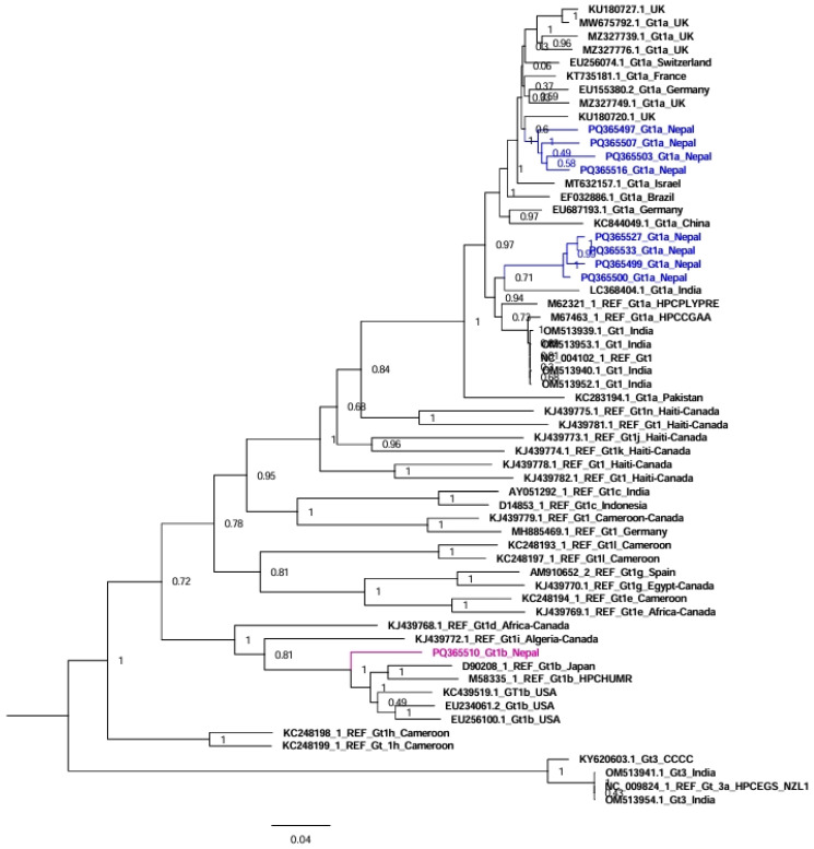 Figure 1