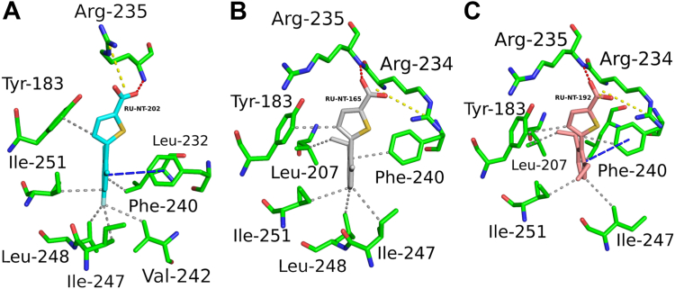 Figure 6