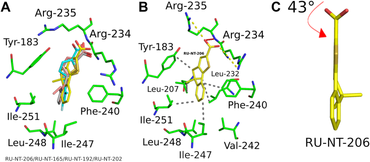 Figure 10