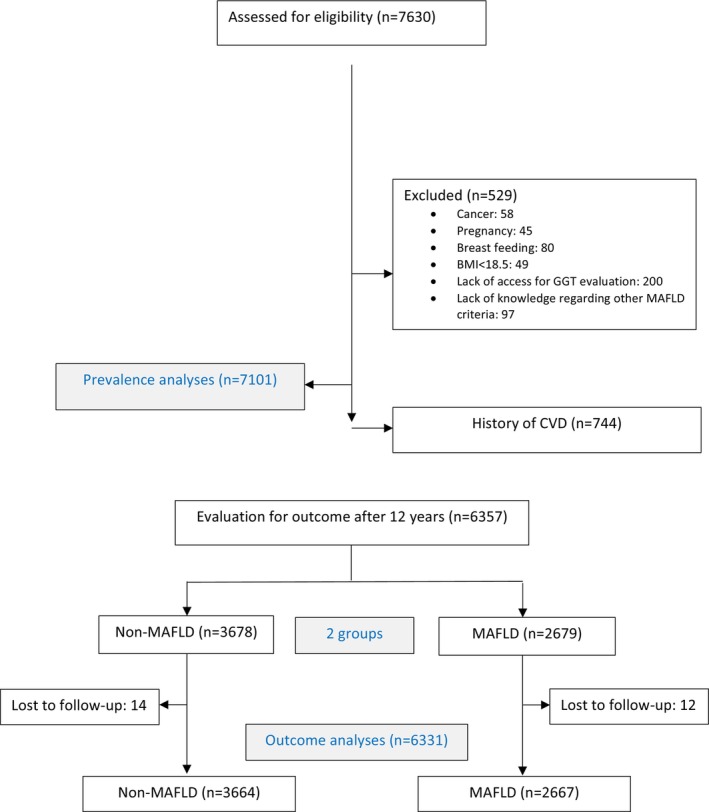 FIGURE 1