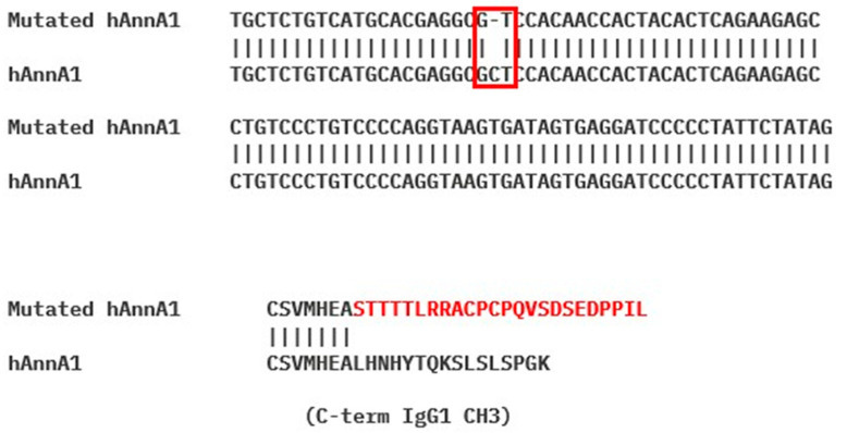 Figure 7
