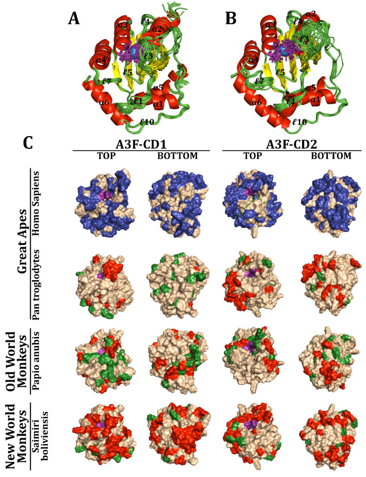 Figure 6