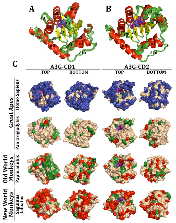Figure 7