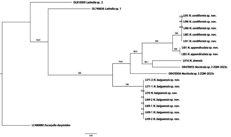 Figure 9