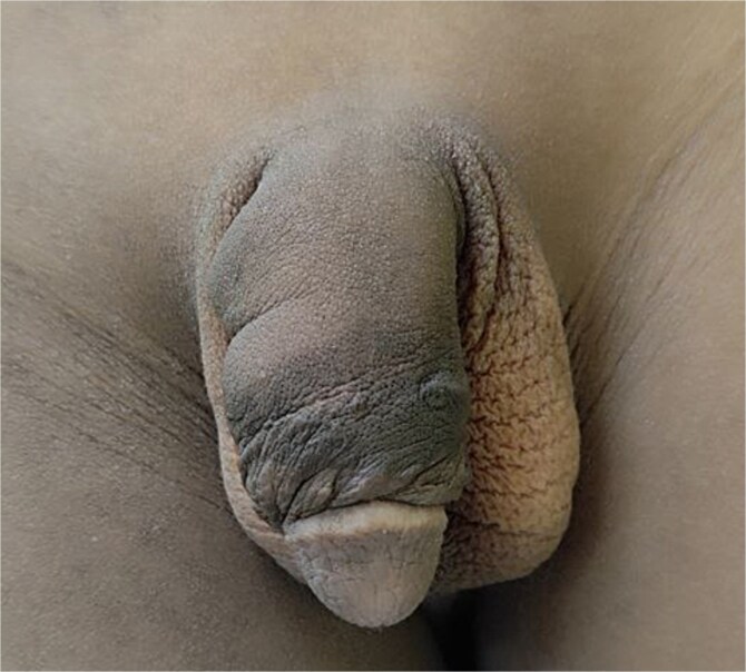Figure 8