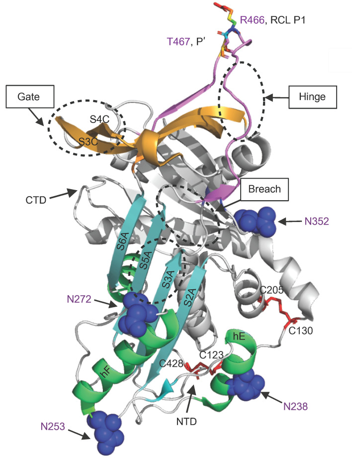 Figure 2