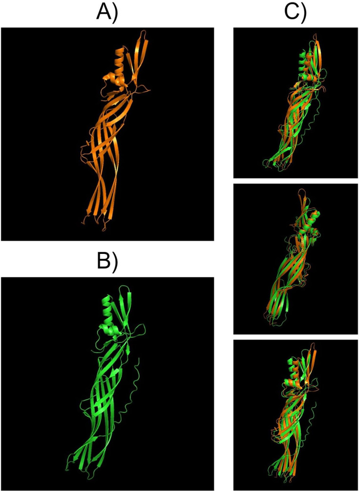 Figure 7