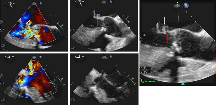 Fig. 3