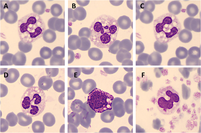 Figure 1