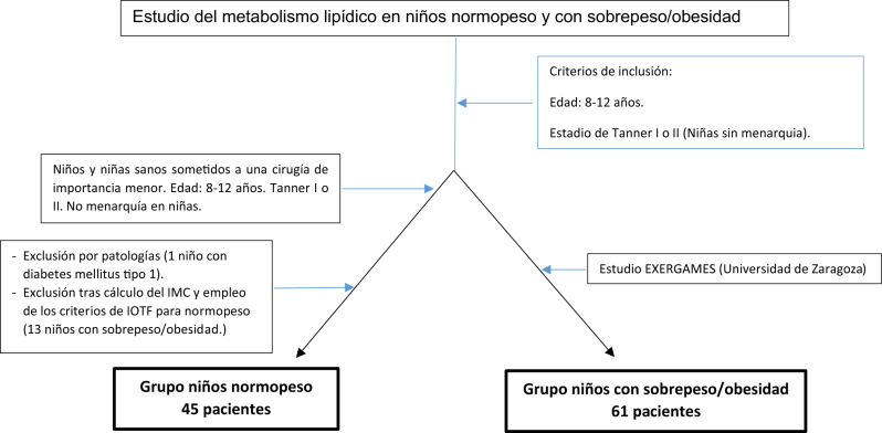 Figura 1