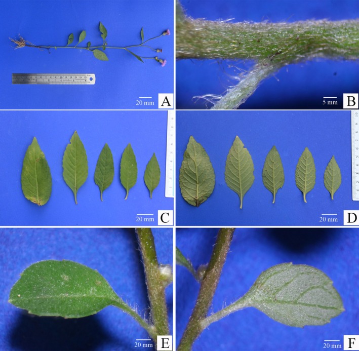 FIGURE 2