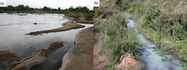 FIGURE 13