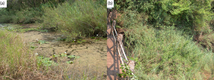 FIGURE 17