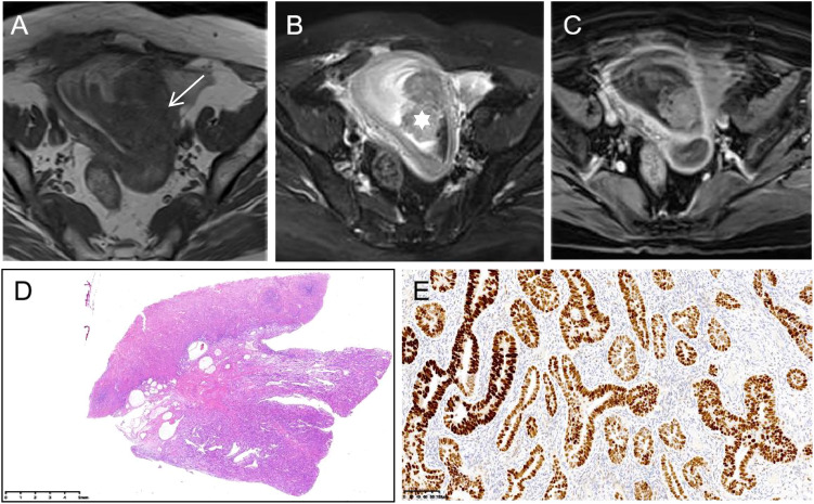 Figure 3
