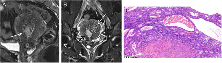 Figure 4