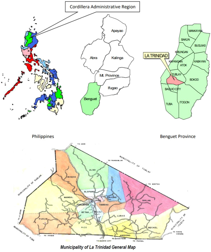 Figure 1