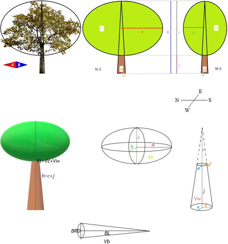 Figure 1