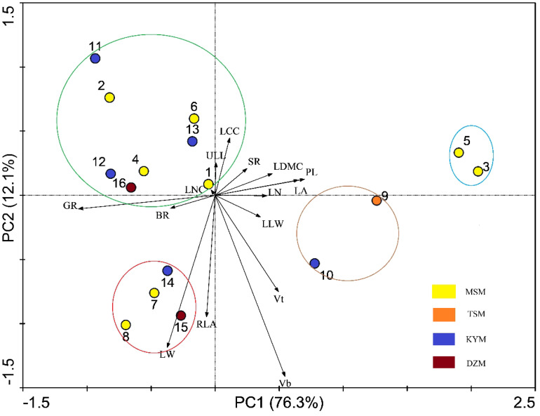 Figure 4