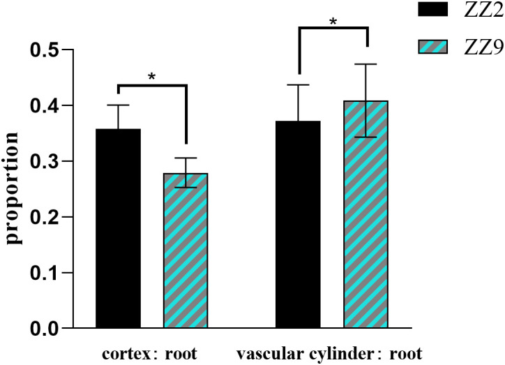 Figure 3