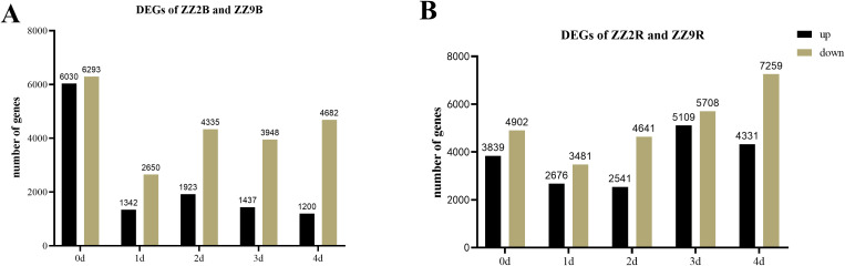 Figure 7