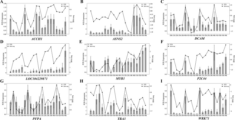 Figure 12