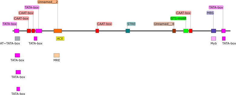 Figure 1