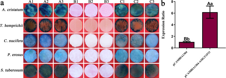 Figure 3