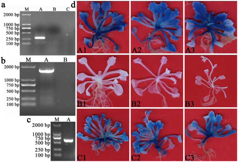 Figure 4