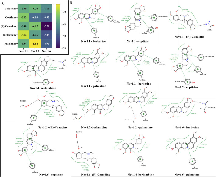 FIGURE 6