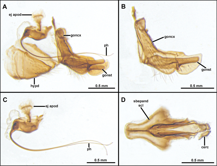 Figure 11