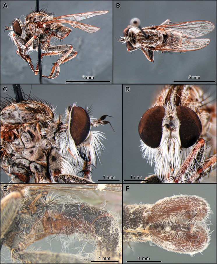 Figure 13