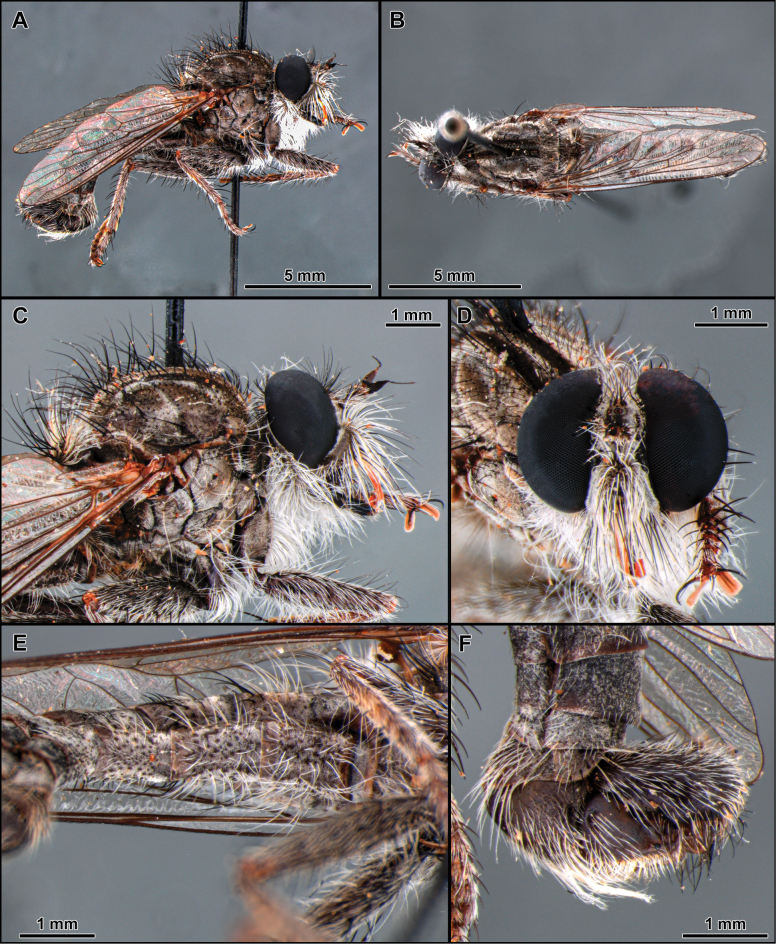 Figure 15