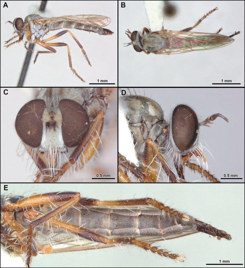 Figure 16