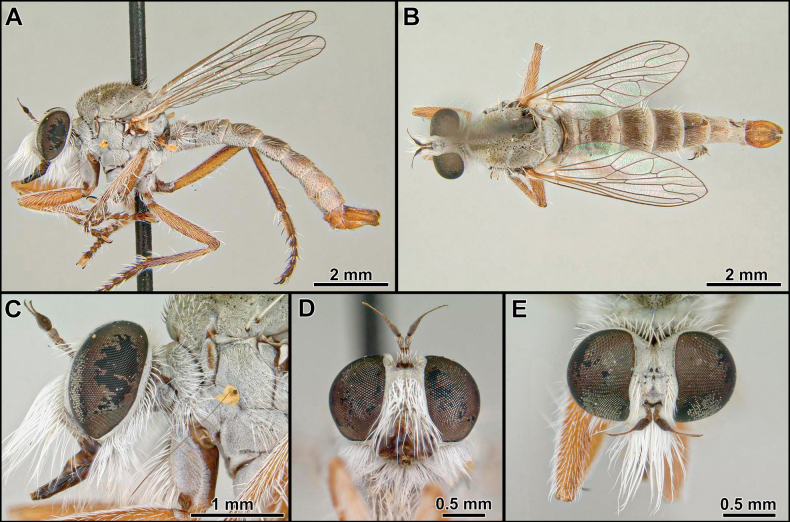 Figure 17