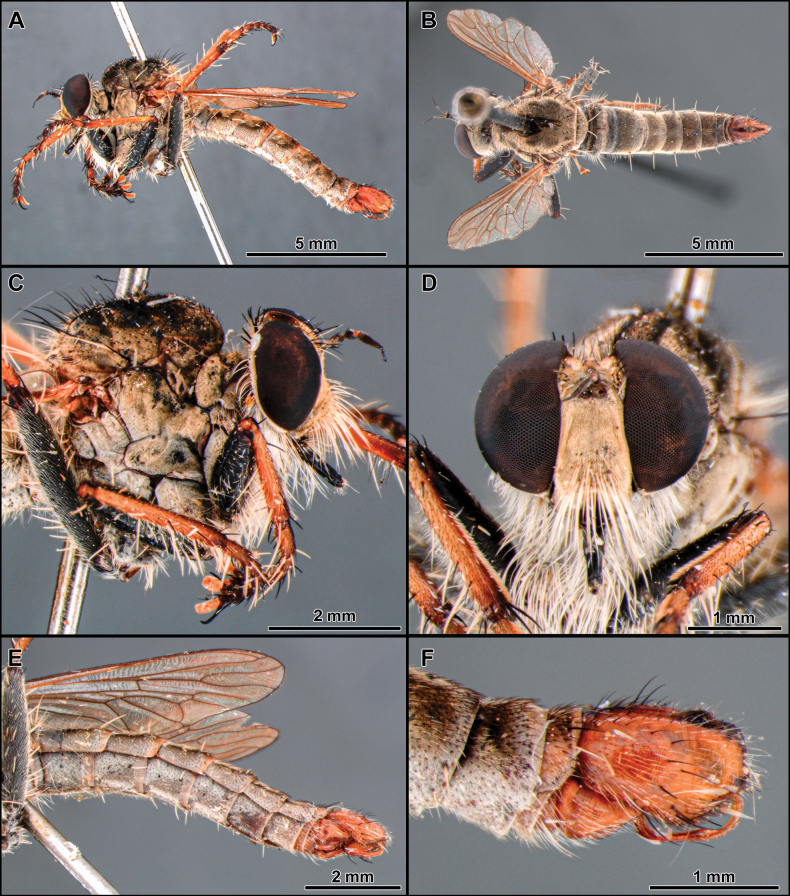 Figure 18