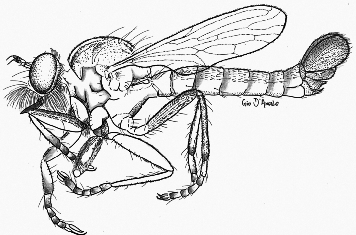 Figure 20
