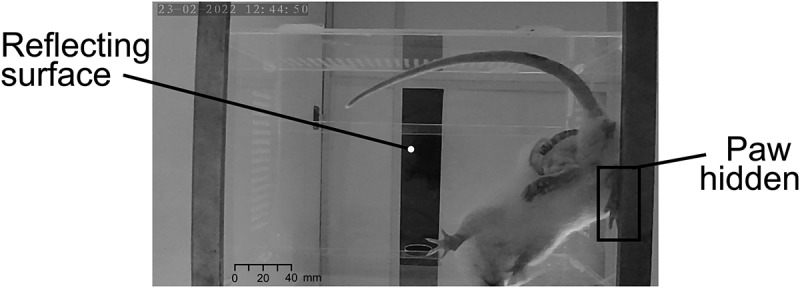 Figure 13