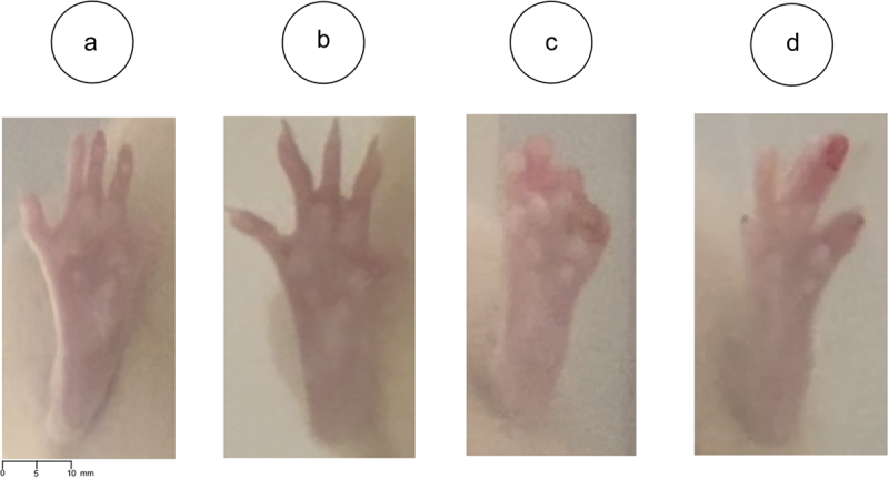 Figure 14