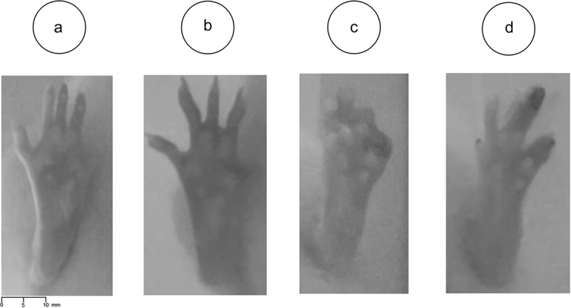 Figure 15