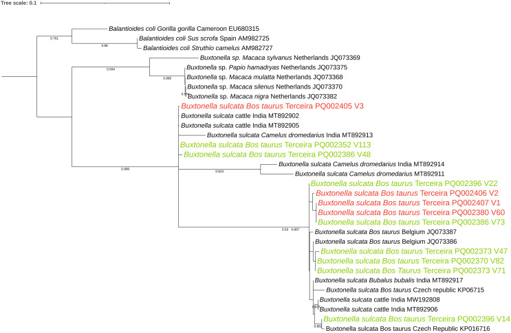 Figure 2