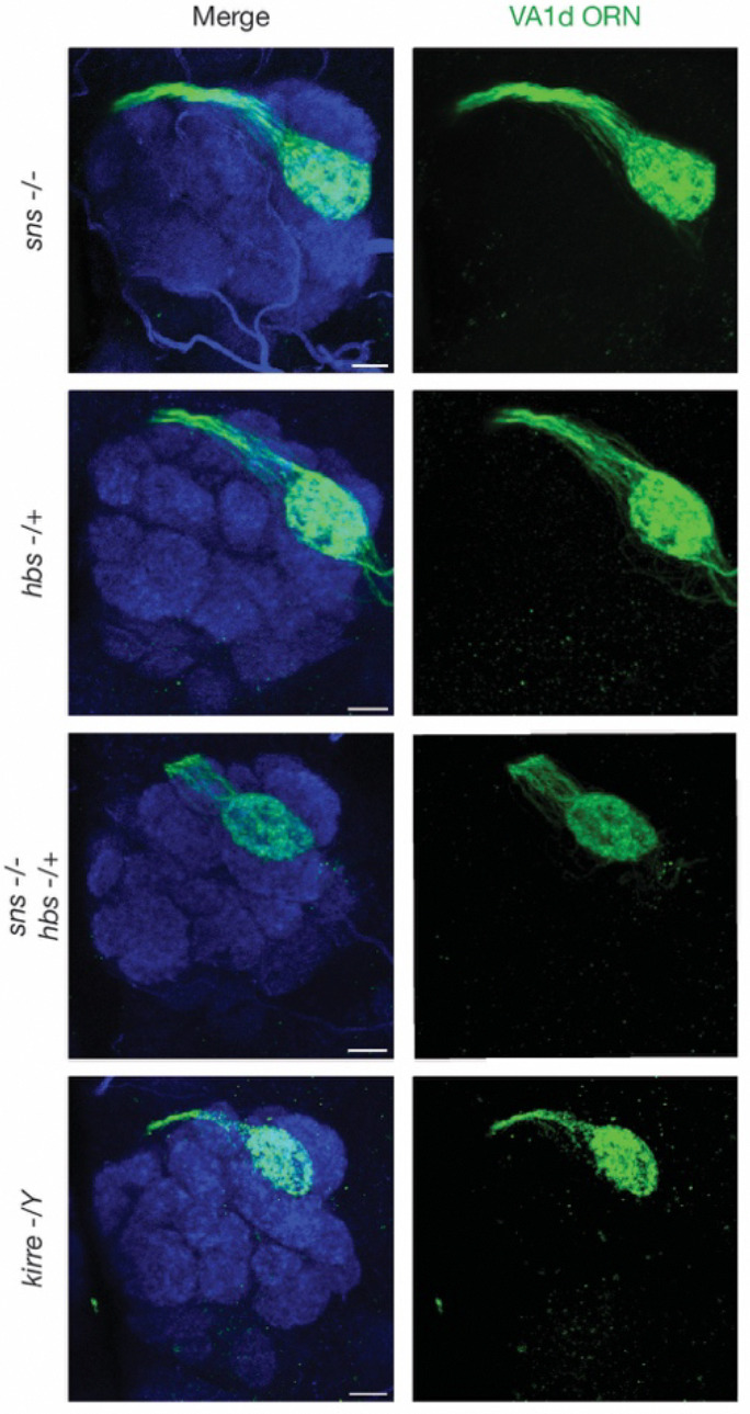 Figure 11