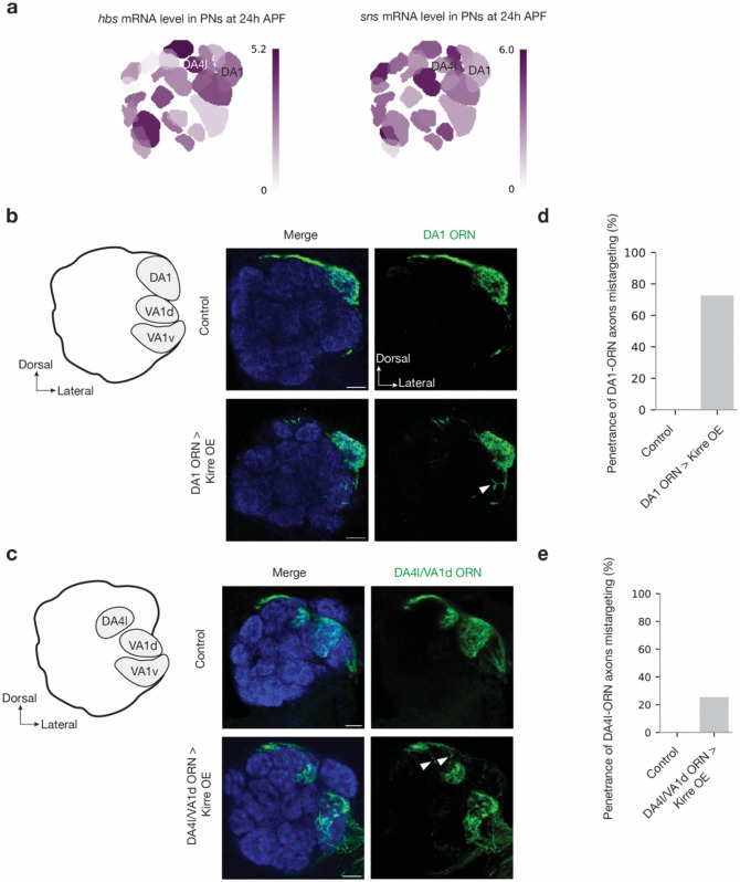 Figure 14