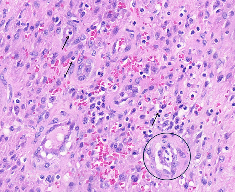 Figure 10