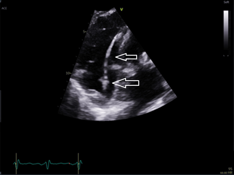 Figure 8
