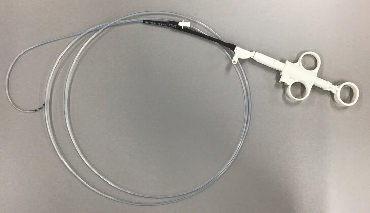 Fig. 3