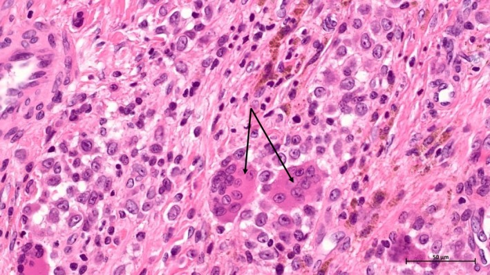 FIGURE 4