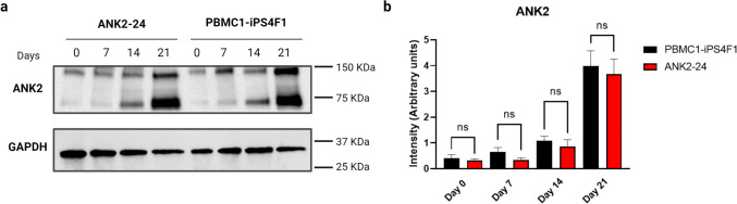 Figure 6