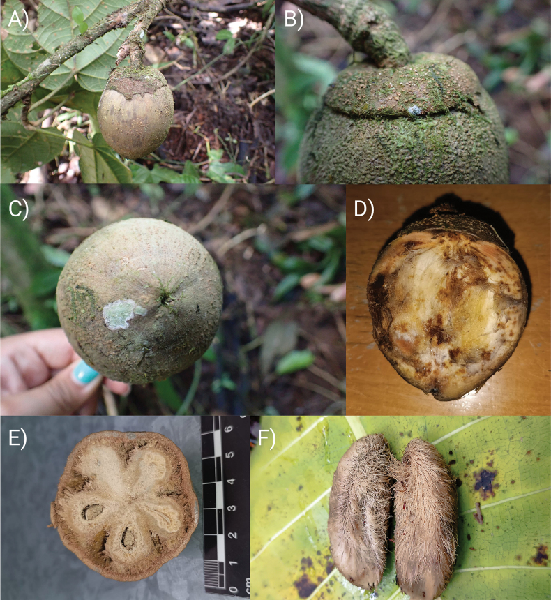 Figure 5